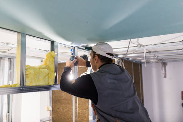 Best Local Insulation Services  in Carrollton, TX