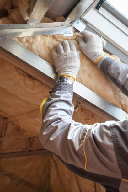 Best Blown-in Insulation  in Carrollton, TX