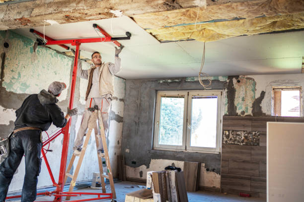 Best Insulation Contractors for Homes  in Carrollton, TX