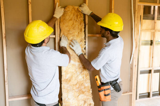 Insulation Repair Services in Carrollton, TX