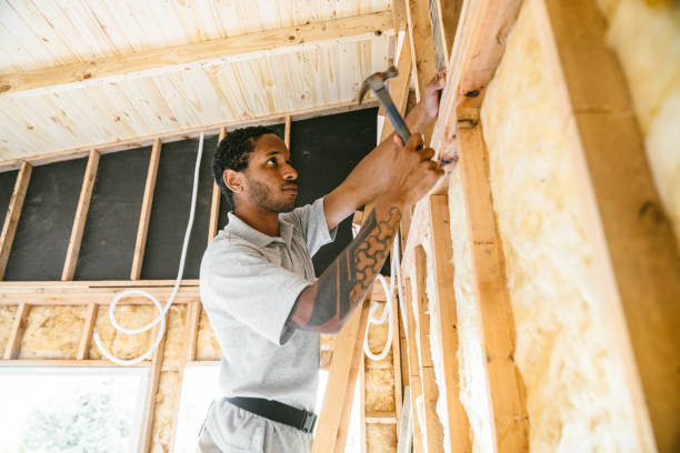 Professional Insulation Contractor in Carrollton, TX