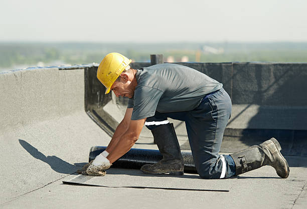 Best Insulation Repair Services  in Carrollton, TX