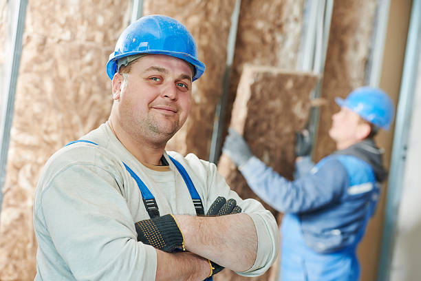 Best Best Insulation Companies  in Carrollton, TX