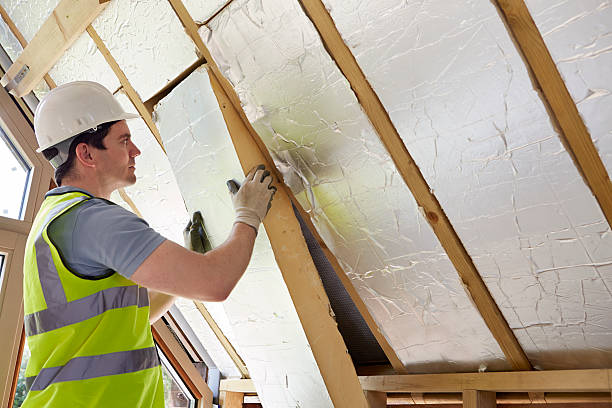 Best Garage Insulation Installation  in Carrollton, TX