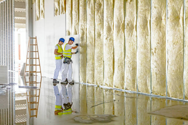 Best Insulation Removal  in Carrollton, TX